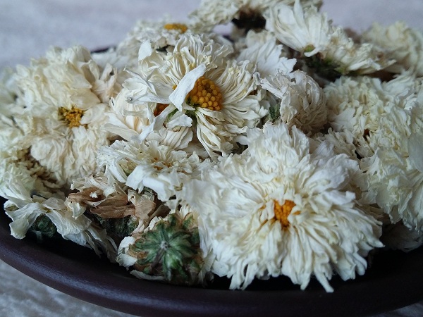 hoa cúc trắng khô
